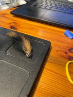 IMG_3220.jpeg