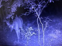 IMG_6249.JPEG