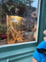 IMG_0023.jpeg