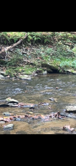 IMG_2056.png