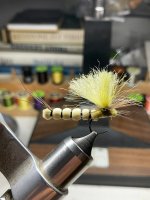 IMG_2774.jpg