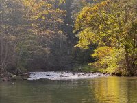 IMG_5484.jpg