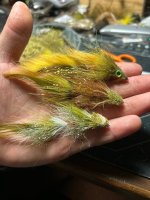 IMG_8426.jpeg
