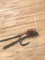 IMG_2941.jpeg
