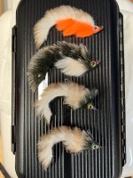 IMG_0306.jpeg