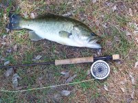 IMG_1766.jpeg