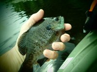 IMG_1904.jpeg