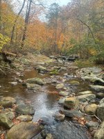 IMG_2426.jpeg