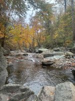 IMG_2424.jpeg