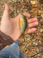 IMG_3036.jpeg