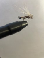 IMG_3133.jpeg