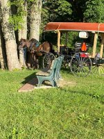 IMG_3493.jpeg