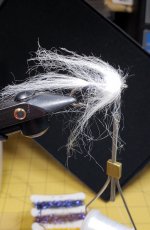 IMG_1936.jpeg