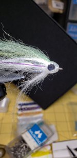 IMG_1938.jpeg
