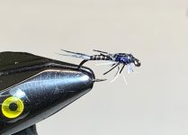 IMG_6505.jpeg