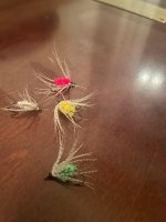 IMG_8040.jpeg