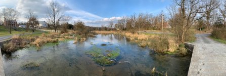 IMG_3667.jpeg