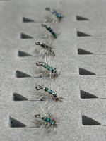 IMG_4192.jpeg