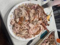 IMG_3231.jpeg