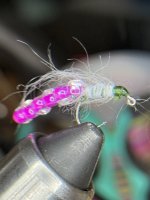 IMG_6274.jpeg
