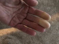 IMG_6543.JPEG