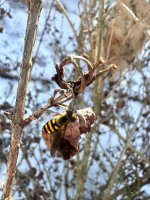 IMG_2173.jpeg