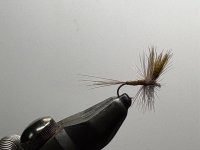 IMG_0166.jpeg