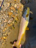 IMG_4210.jpeg