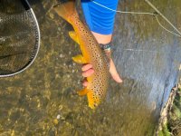 IMG_4849.jpeg