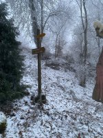 IMG_1207.jpeg