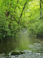 CreekMyst.jpg