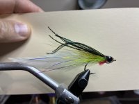 IMG_2713.jpeg