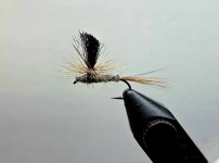 20260120_223638.jpg