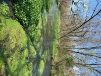 IMG_4874.jpeg