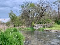 IMG_5260.jpeg