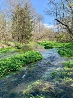 IMG_4877.jpeg