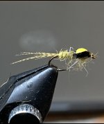 IMG_5164.jpeg
