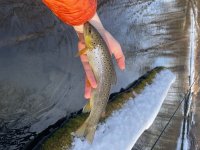 IMG_5879.jpeg