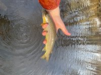 IMG_5878.jpeg