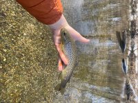 IMG_5877.jpeg