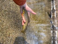 IMG_5873.jpeg