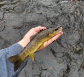 IMG_5895.jpeg