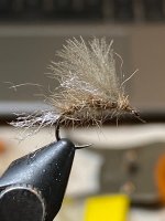IMG_5180.jpeg