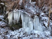 IMG_5539.JPEG