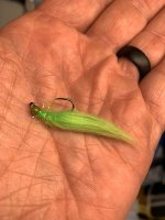 IMG_6509.jpeg