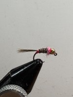 IMG_0359.jpeg