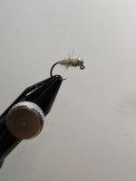 IMG_0355.jpeg