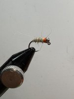 IMG_0356.jpeg