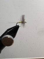 IMG_0360.jpeg