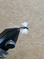 IMG_2796.jpeg